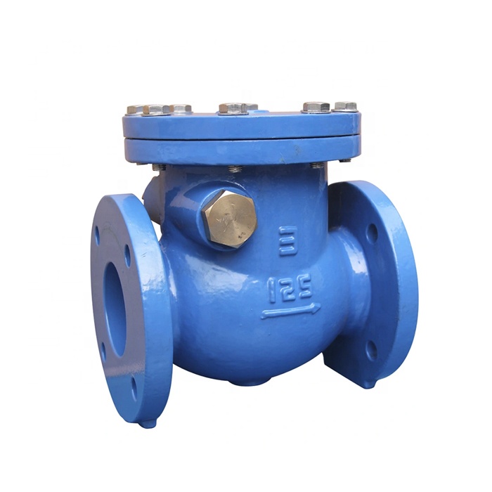 Ductile Iron Cast Iron Flanged Swing Check Valve